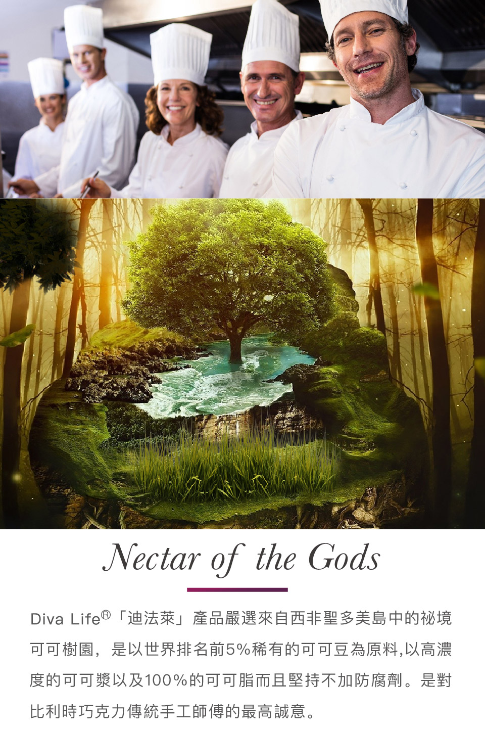 Diva Life 迪法萊產品嚴選來自西非聖多美皇島中的祕境 可可樹園,是以世界排名前5%稀有的可可豆為原料,以高濃 度的可可漿以及100%的可可脂而且堅持不加防腐劑。是對 比利時巧克力傳統手工師傳的最高誠意。 