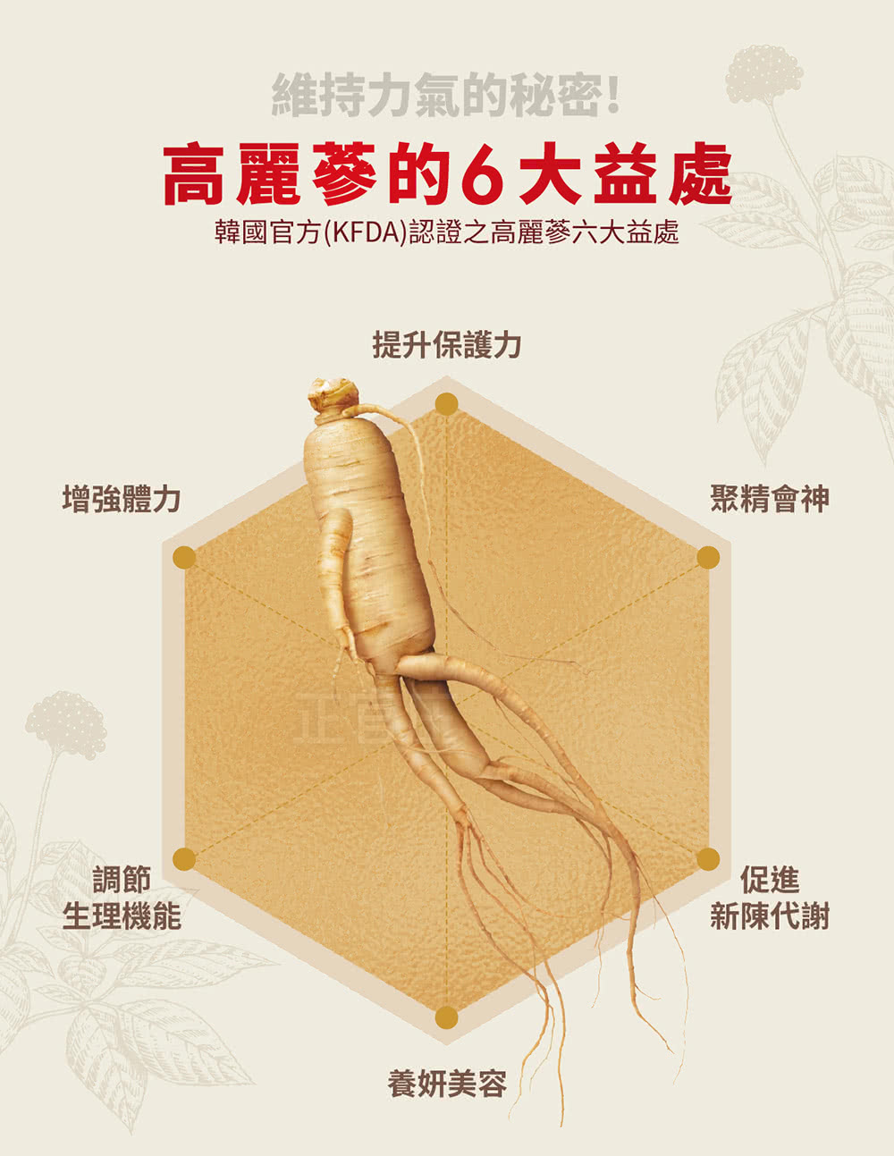 韓國官方KFDA認證之高麗蔘六大益處