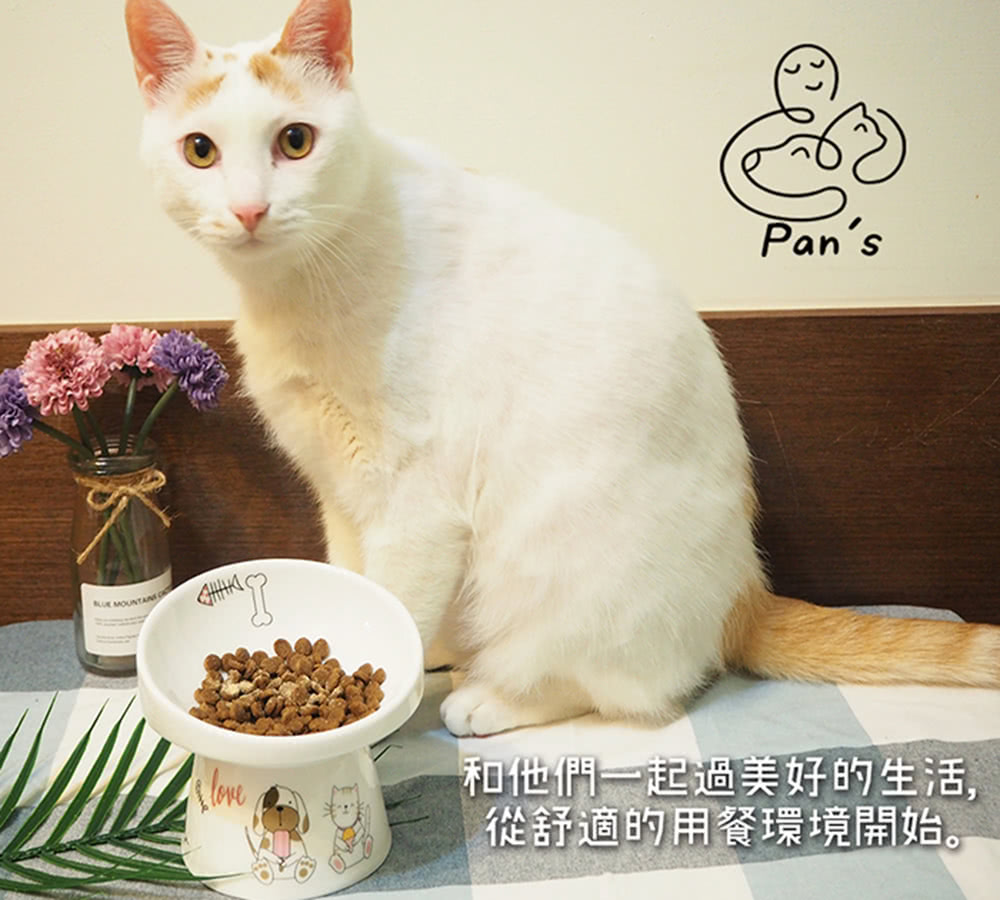 和他們一起過美好的生活, 從舒適的用餐環境開始。 