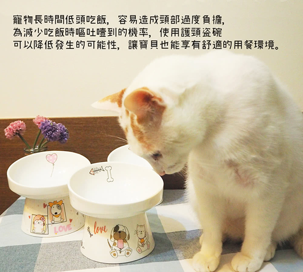 寵物長時間低頭吃飯,容易造成頸部過度負擔, 為減少吃飯時嘔吐噎到的機率,使用護頸瓷碗 可以降低發生的可能性,讓寶貝也能享有舒適的用餐環境。 