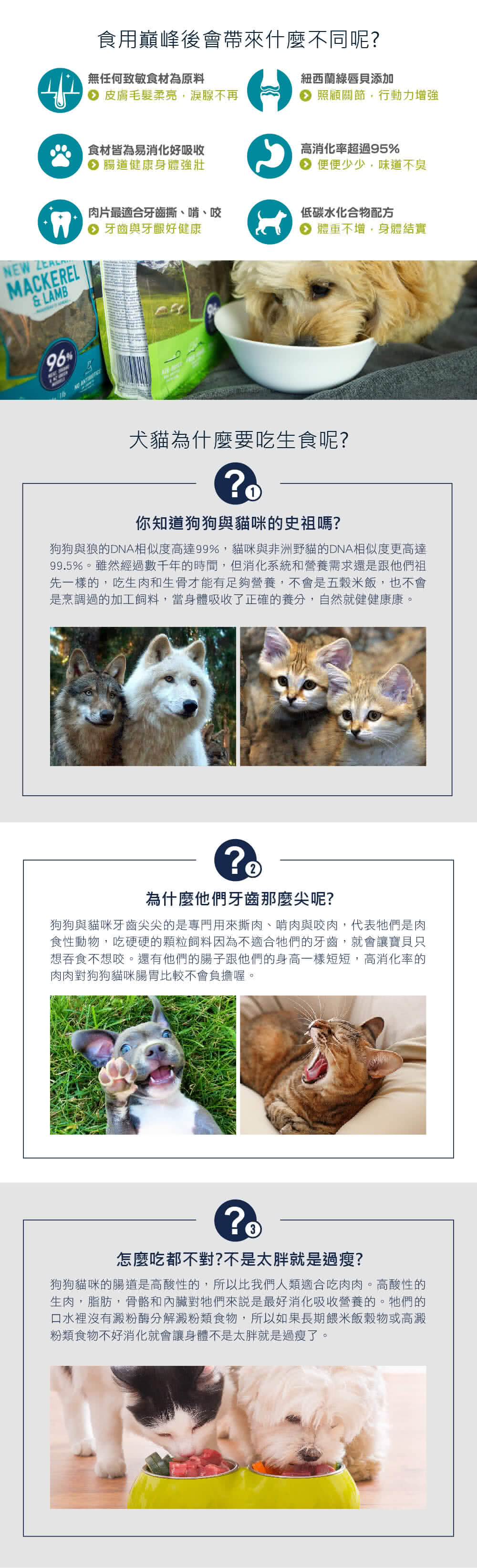 Ziwipeak 巔峰 96 鮮肉狗糧 鯖魚羊肉4kg 狗飼料生食鯖魚羊肉 折扣推薦 監視器 餐具 鍋具 痞客邦