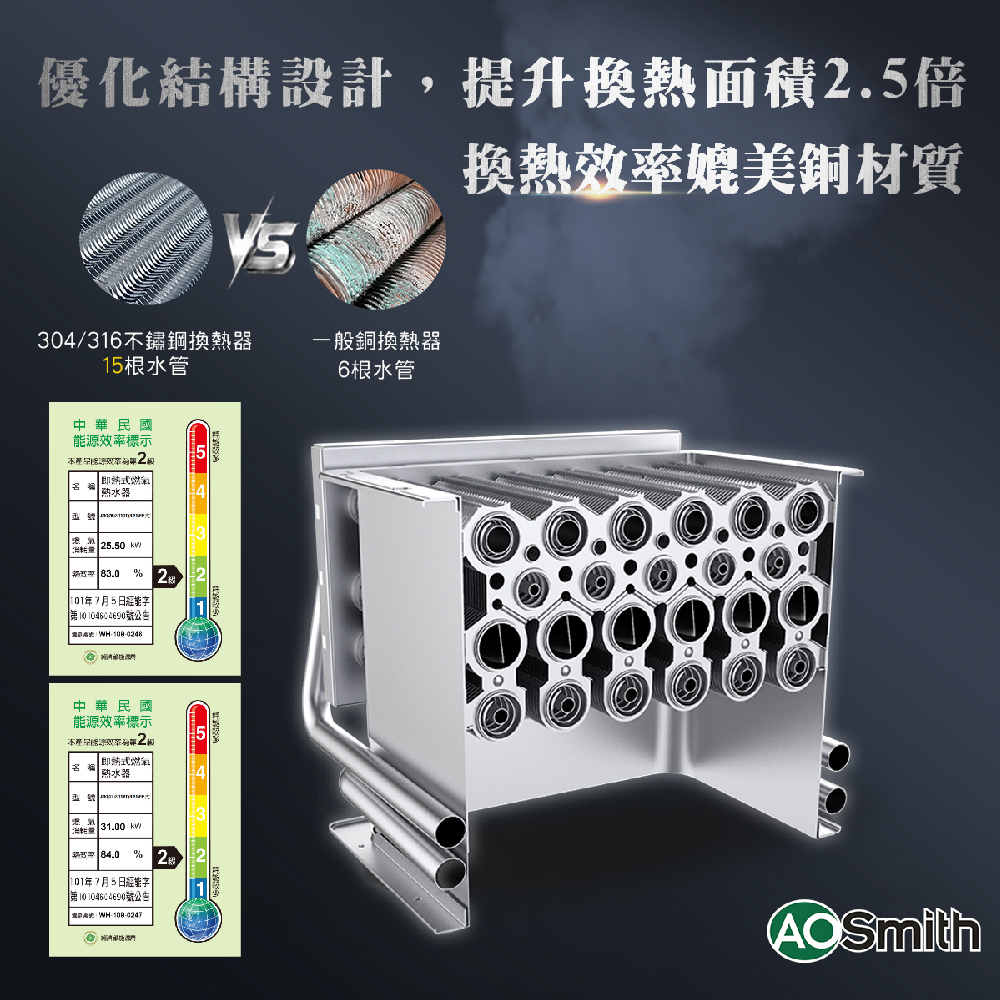 AOSmith史密斯 JSQ31-ST16T - 詳情5