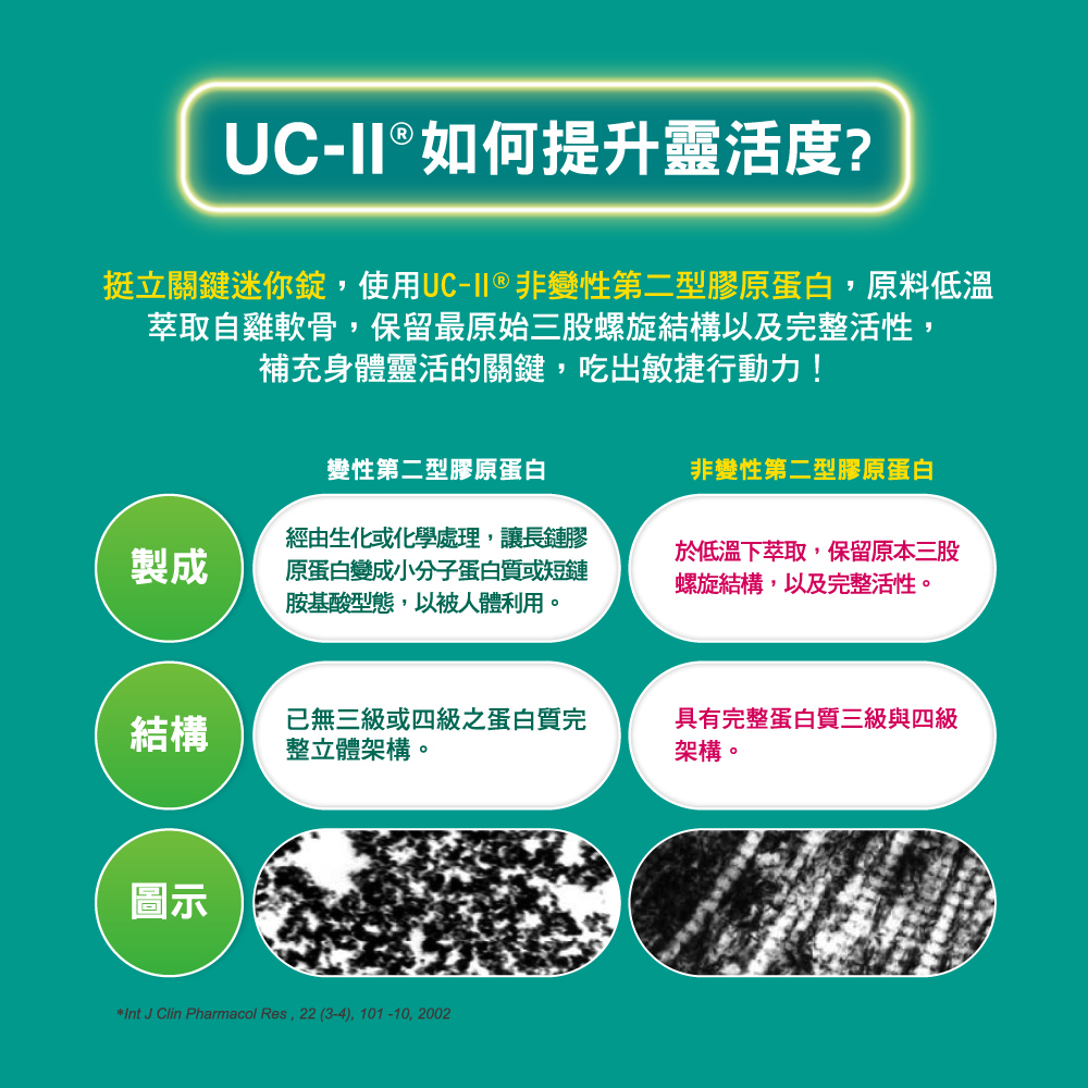 挺立關鍵迷你錠,使用UCII非變性第二型膠原蛋白,原料低溫