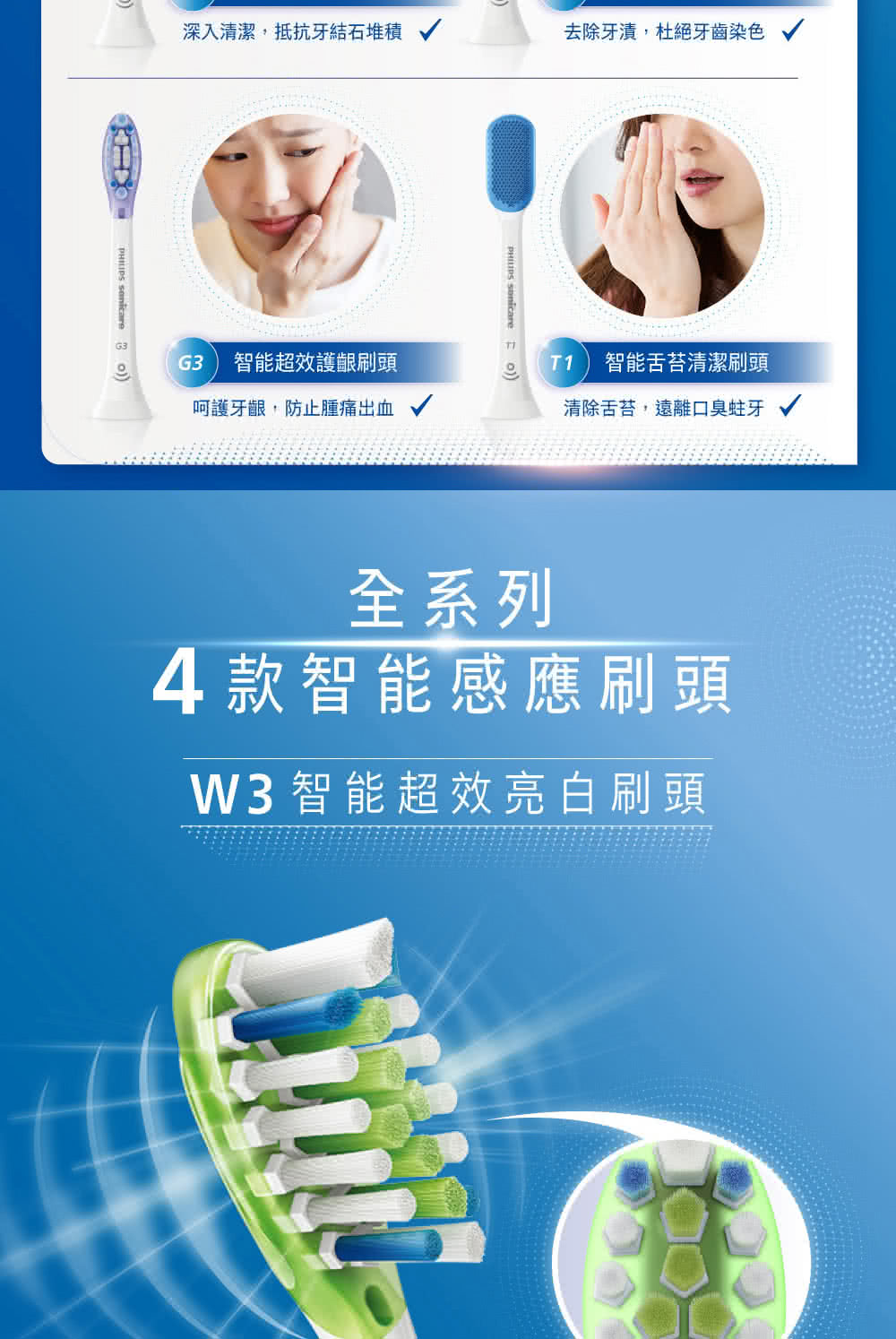 深入清潔,抵抗牙結石堆積