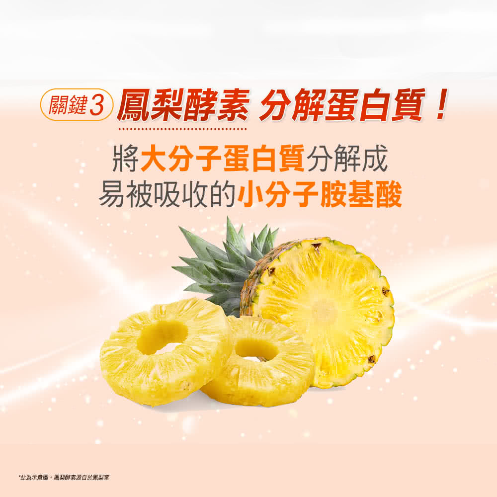 M 3 鳳梨酵素 分解蛋白質 將大分子蛋白質分解成 易被吸收的小分子胺基酸 此為示意圖,鳳梨酵素源自於鳳梨莖 