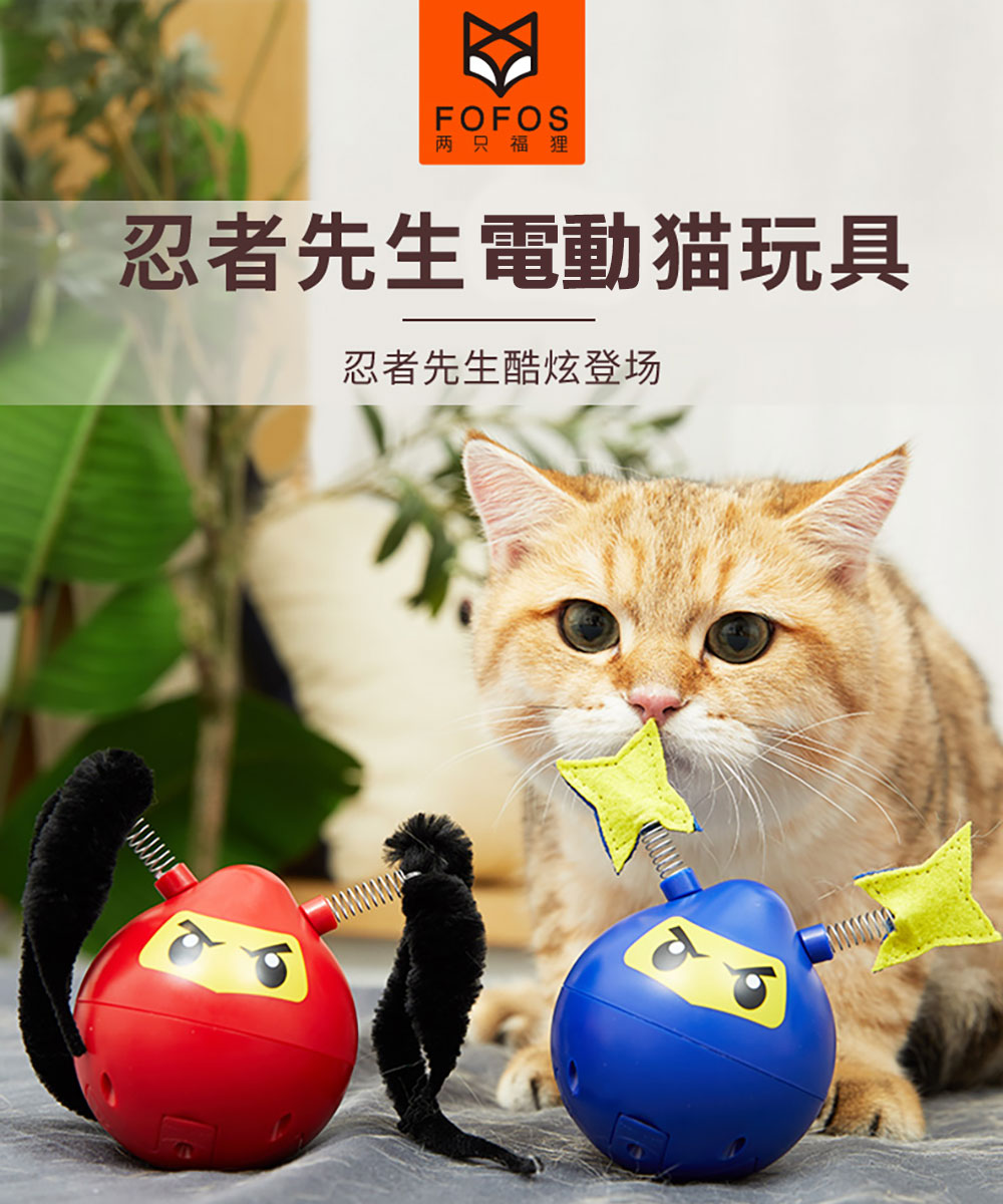 Fofos 兩只福狸 忍者先生電動貓玩具 Momo購物網