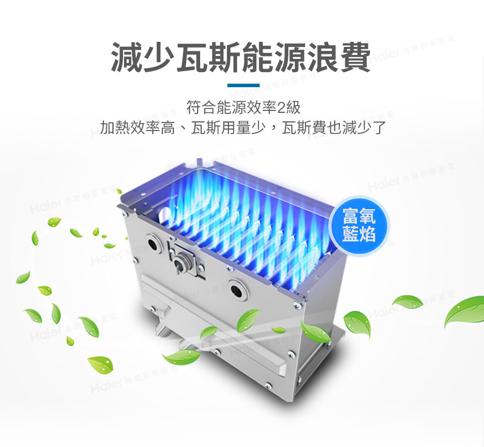 Haier海爾 JSQ31-16NG1 - 詳情6