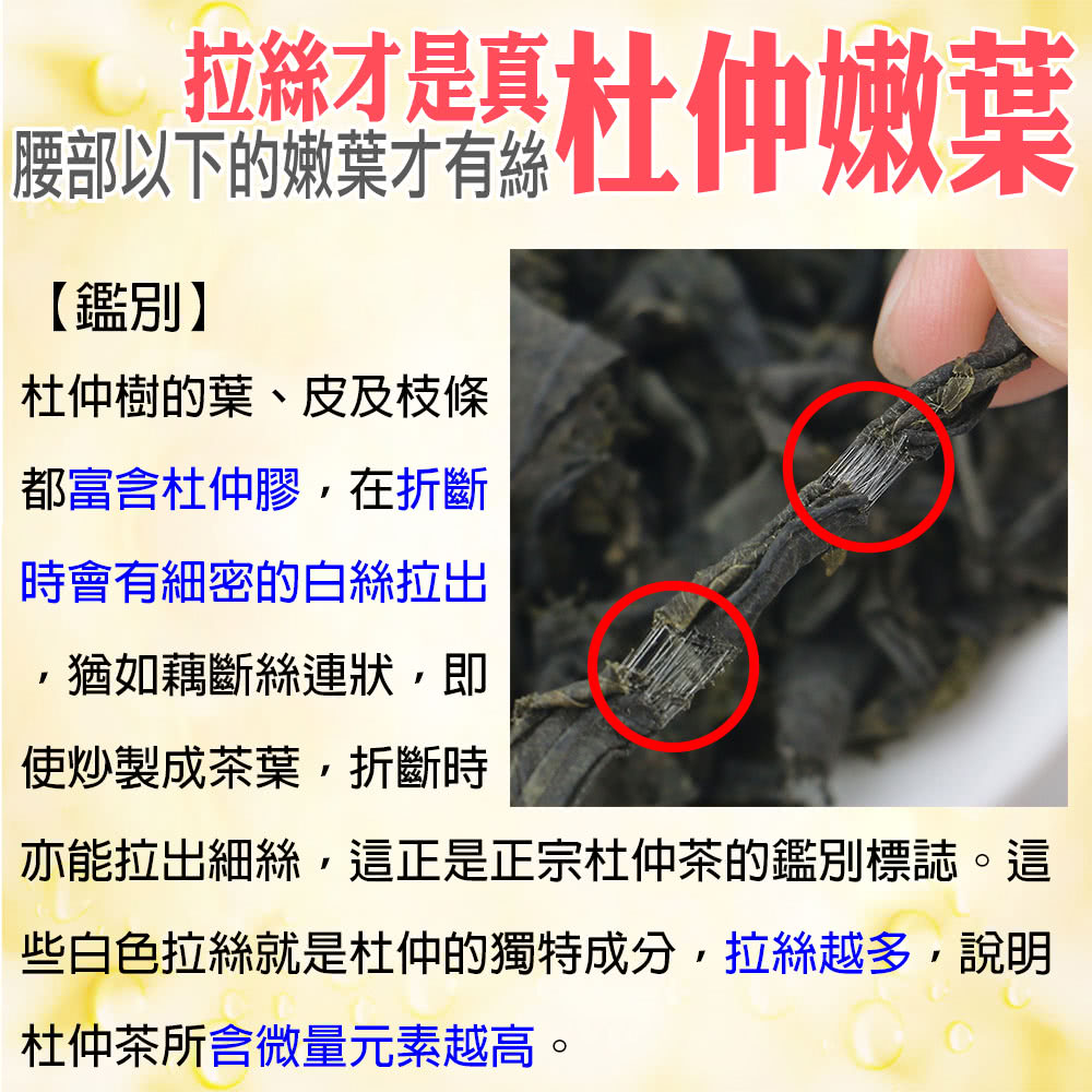 亦能拉出細絲,這正是正宗杜仲茶的鑑別標誌。這