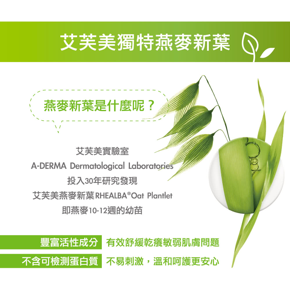 艾芙美燕麥新葉RHEALBAOat Plantlet