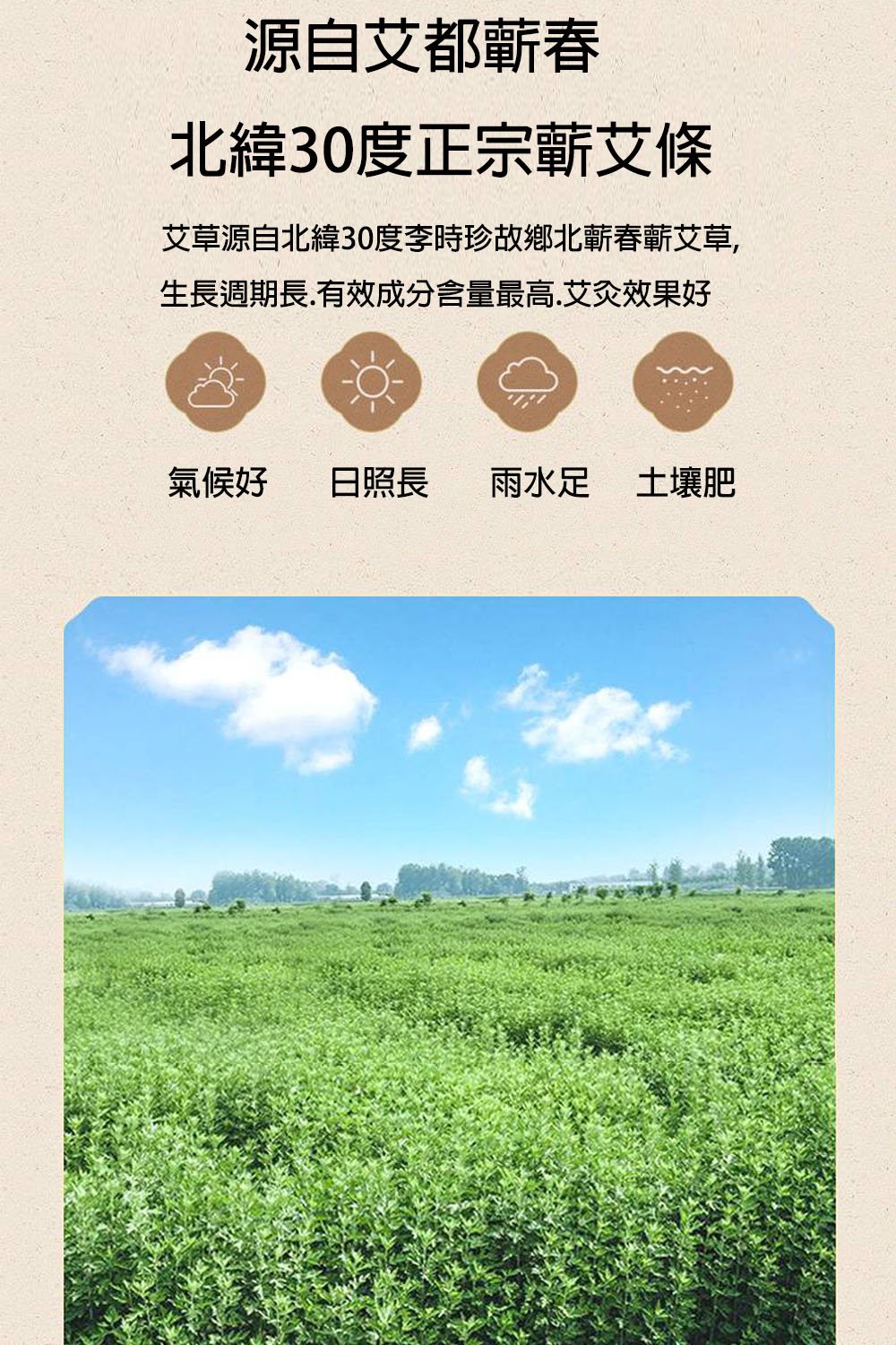 Skip 四季織 李時珍正宗蘄艾 原木灸器 一套組合 艾草條 Momo購物網