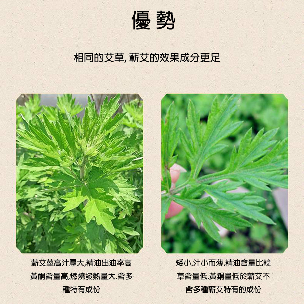 Skip 四季織 李時珍正宗蘄艾 原木灸器 一套組合 艾草條 Momo購物網