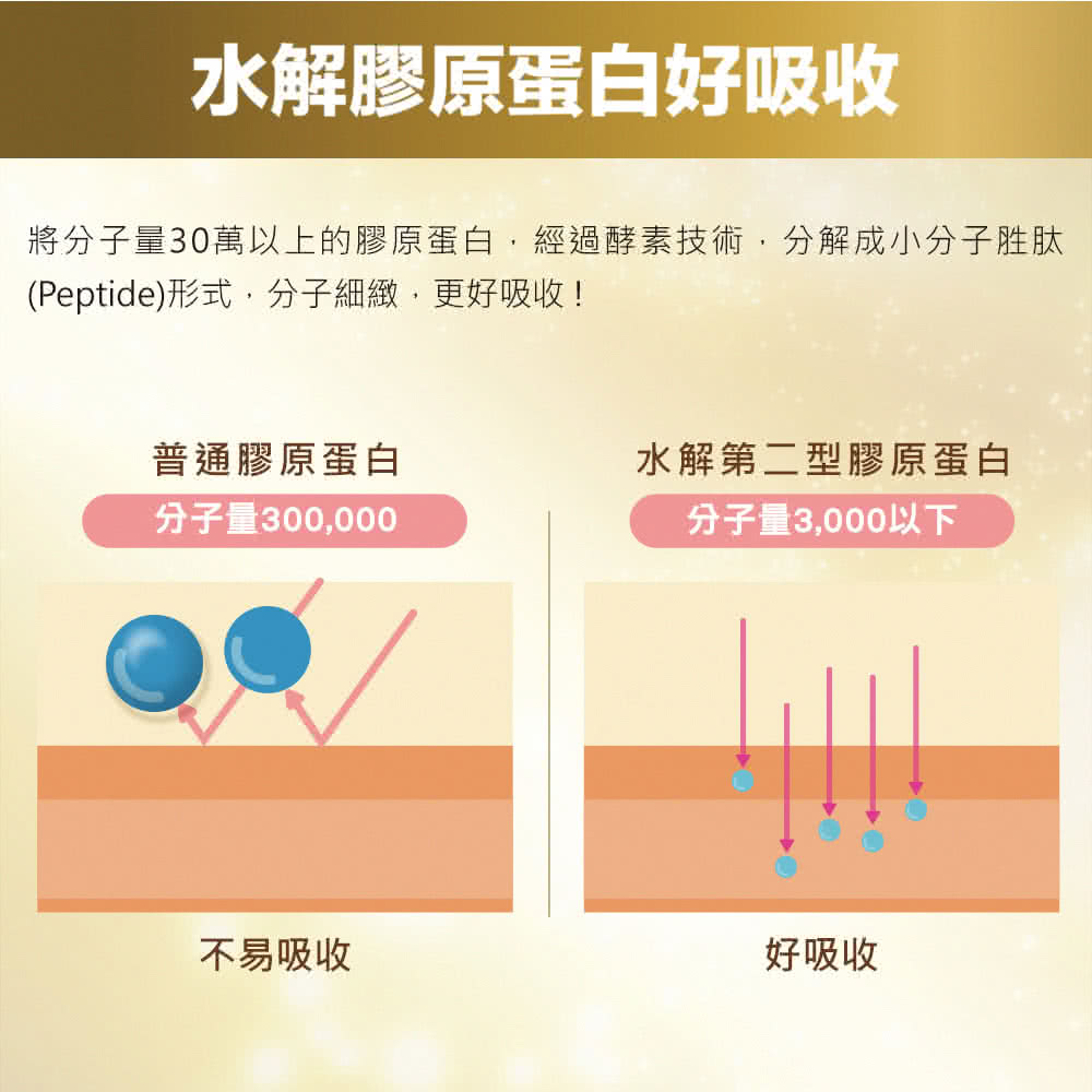 將分子量30萬以上的膠原蛋白,經過酵素技術,分解成小分子胜肽
