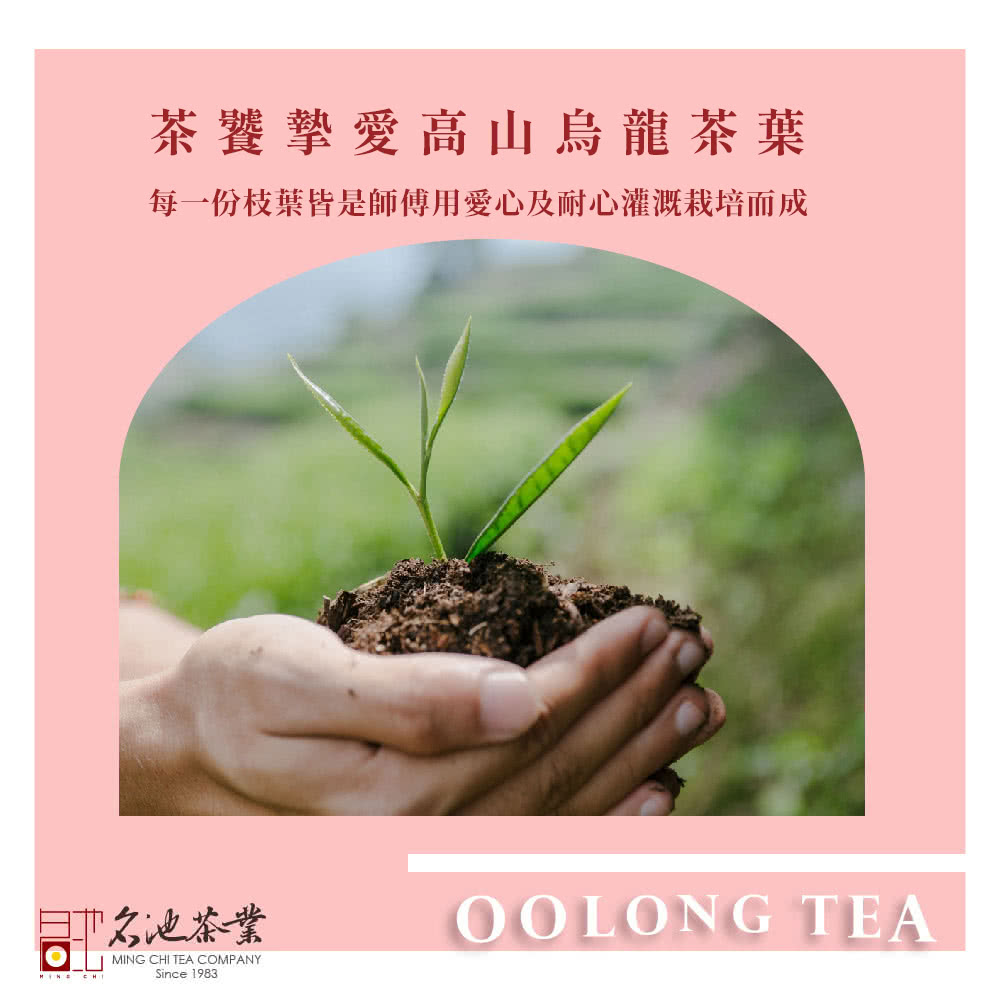 茶饕摯愛高山烏龍茶葉 每一份枝葉皆是師傅用愛心及耐心灌溉栽培而成 名池茶業 