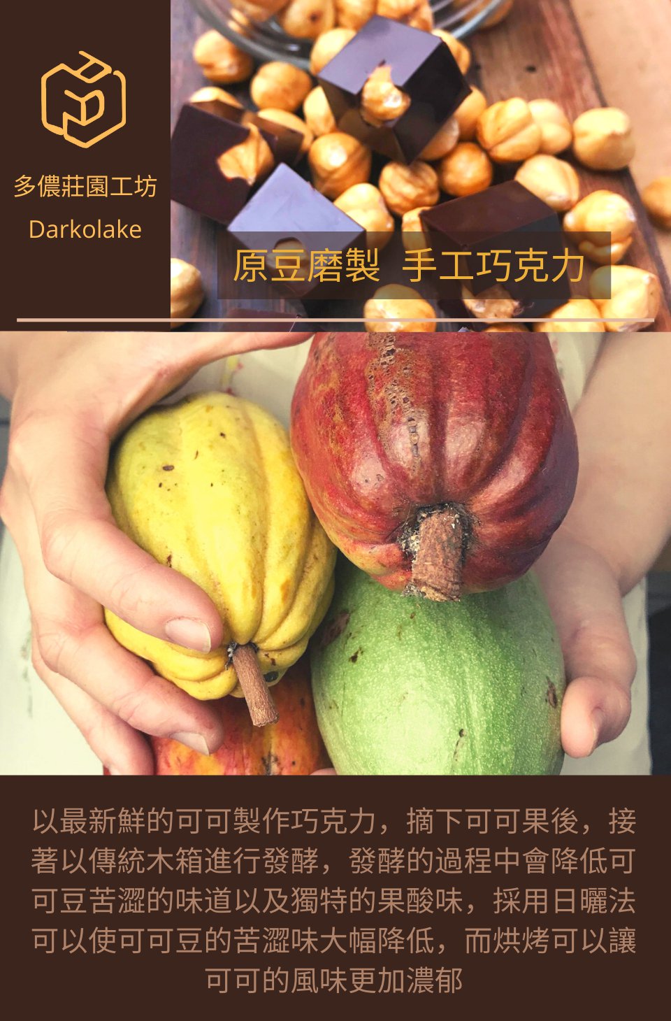 以最新鮮的可可製作巧克力,摘下可可果後,接