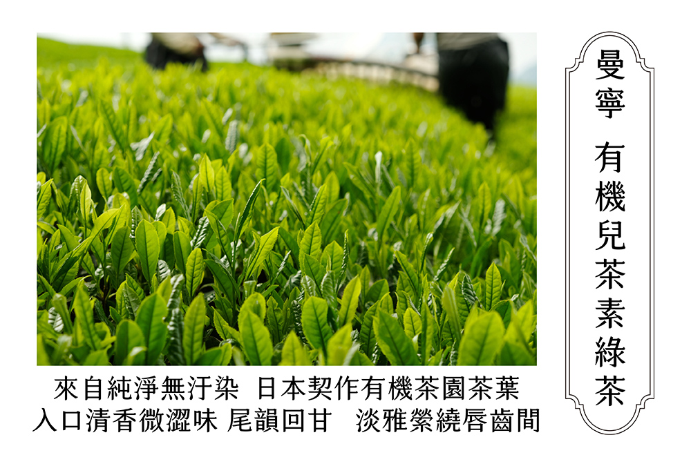 來自純淨無汙染 日本契作有機茶園茶葉 入口清香微澀味 尾韻回甘 淡雅縈繞唇齒間 曼寧 有機兒茶素綠茶 