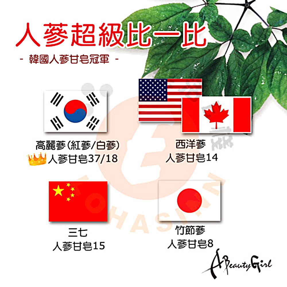 韓國人蔘甘皂冠軍