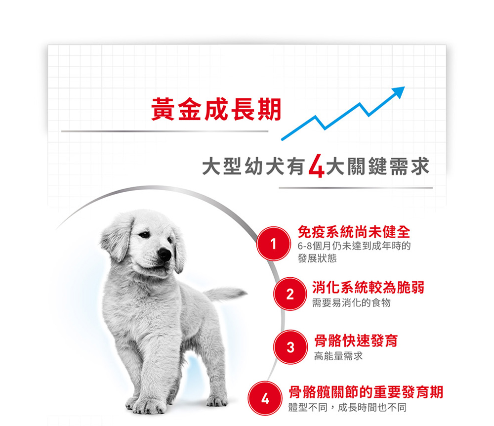 Royal 法國皇家 大型幼犬專用飼料mxp 10kg 狗乾糧狗飼料 Momo購物網