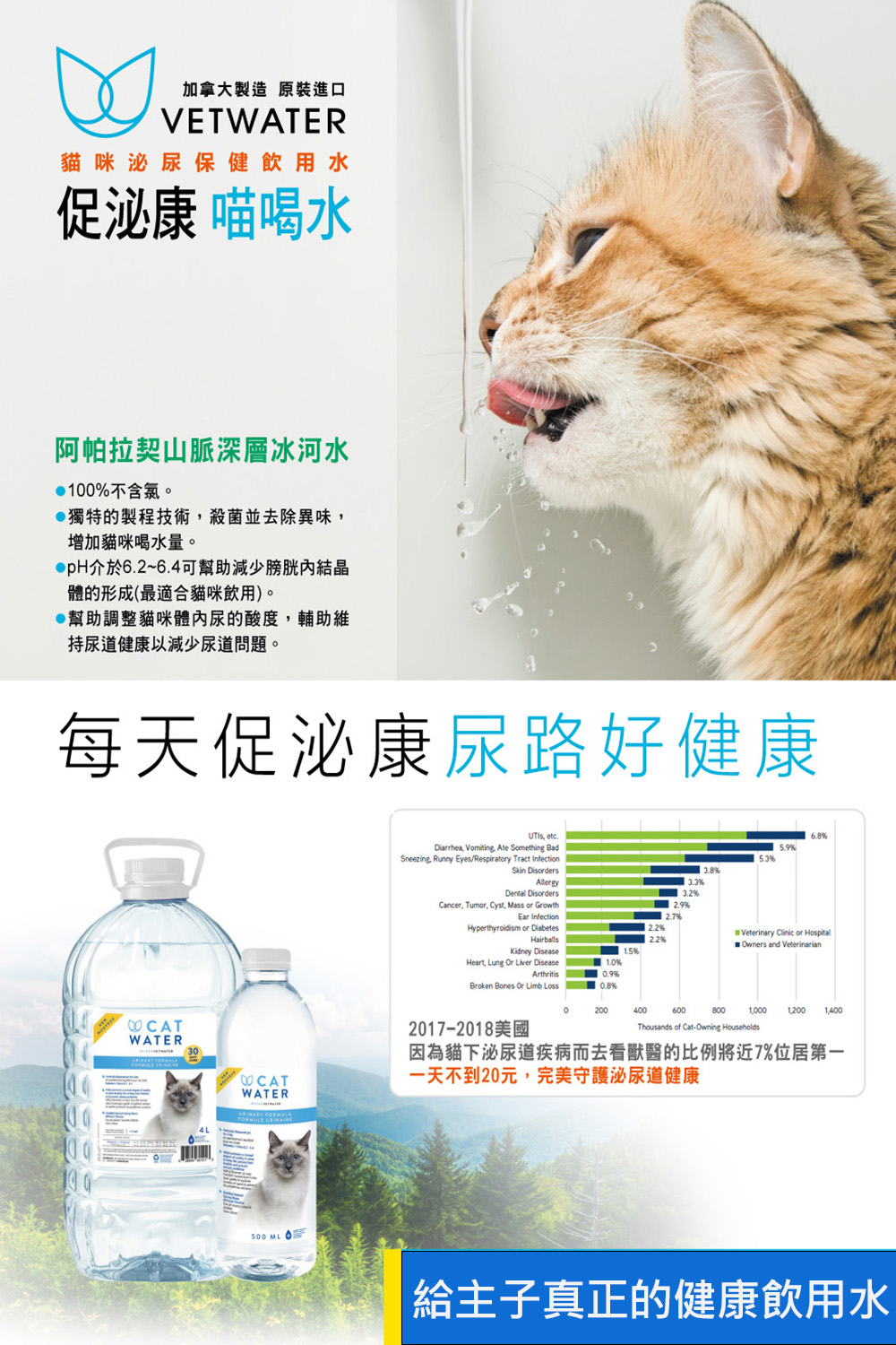 90％OFF】 キャットウォーター 500ml 猫 水 猫用 尿路疾患 飲み水 ペットボトル おしっこ対策 携帯用 非常用 塩素フリー 天然水  水分補給 megjc.gov.jm