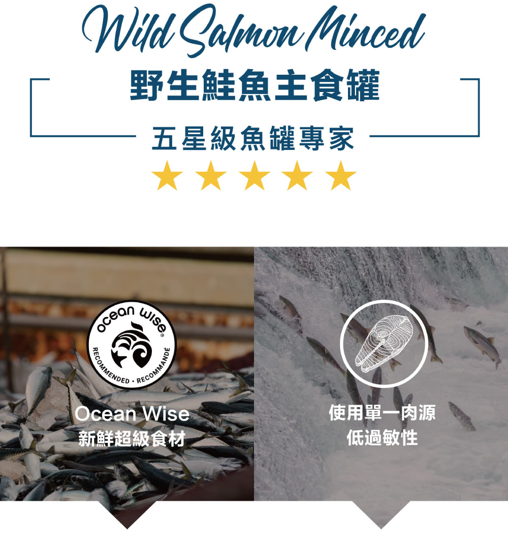 野生鮭魚主食罐 五星級魚罐專家 使用單一肉源 低過敏性 新鮮超級食材 