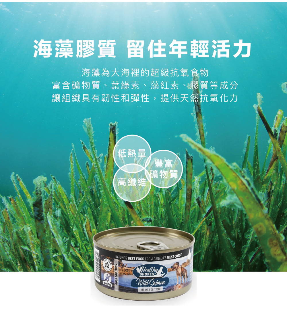 富含礦物質、葉綠素、 藻紅素、膠質等成分