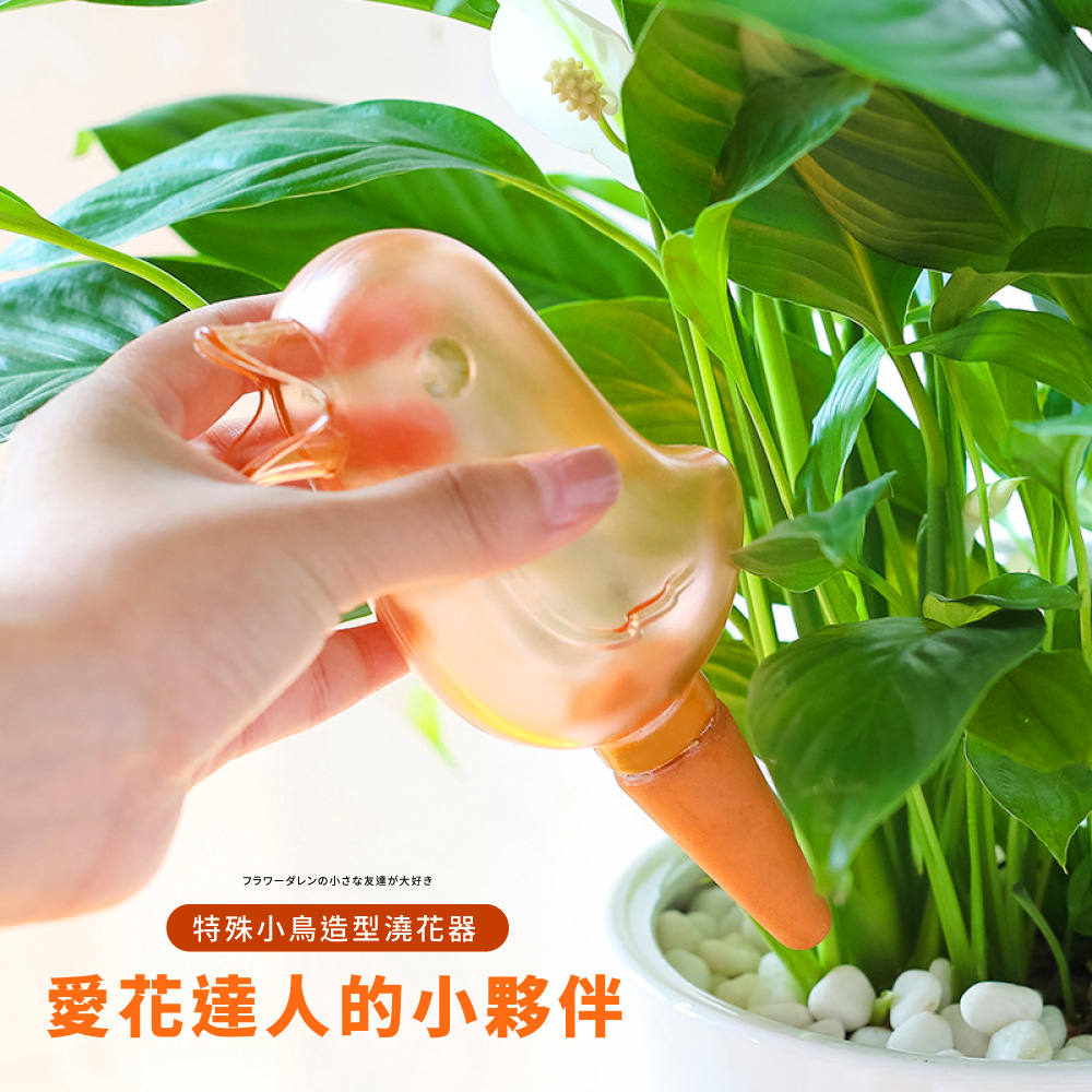 小友達大好 特殊小鳥造型花器 愛花達人的小夥伴 