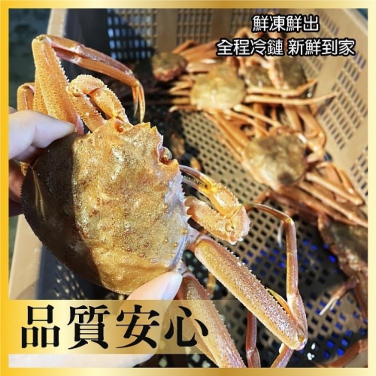 三頓飯 日本活凍母松葉蟹 香箱蟹 2隻 100 0g 隻 Momo購物網 雙11優惠推薦 22年11月