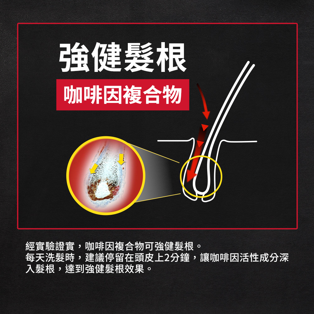 強健髮根 咖啡因複合物 經實驗證實,咖啡因複合物可強健髮根。 每天洗髮時,建議停留在頭皮上2分鐘,讓咖啡因活性成分深 入髮根,達到強健髮根效果。