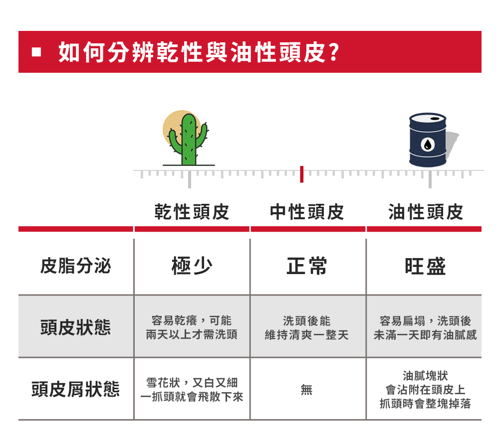 如何分辨乾性與油性頭皮