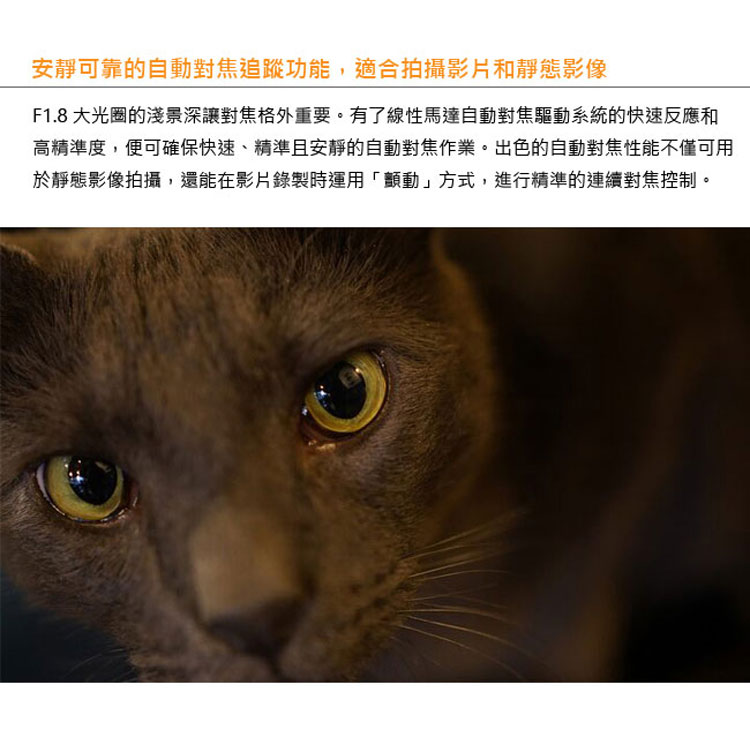 安靜可靠的自動對焦追蹤功能,適合拍攝影片和靜態影像 F1.8 大光圈的淺景深讓對焦格外重要。有了線性馬達自動對焦驅動系統的快速反應和 高精準度,便可確保快速、精準且安靜的自動對焦作業。出色的自動對焦性能不僅可用 於靜態影像拍攝,還能在影片錄製時運用顏動方式,進行精準的連續對焦控制。 
