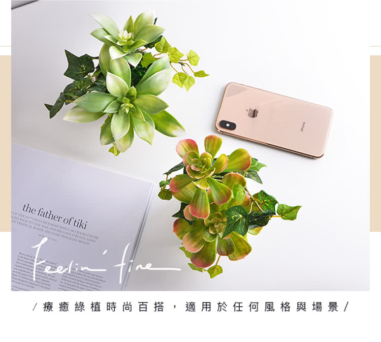 療癒綠植時尚百搭,適用於任何風格與場景 