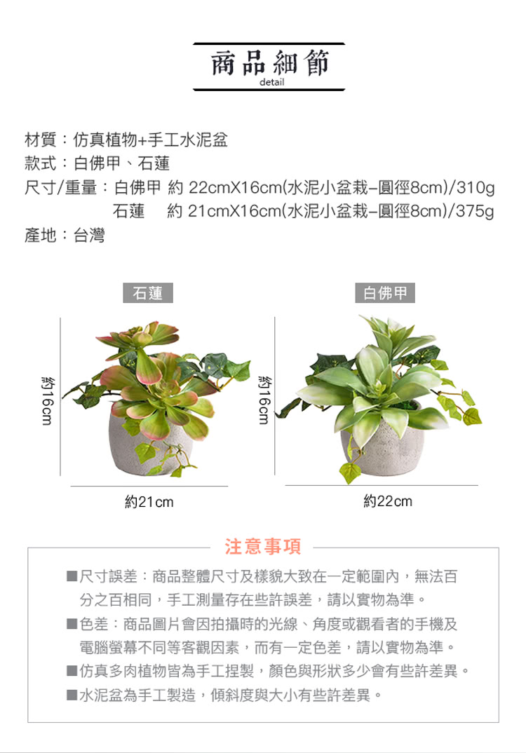 尺寸重量白佛甲約 22cmX16cm水泥小盆栽圓徑8cm310g