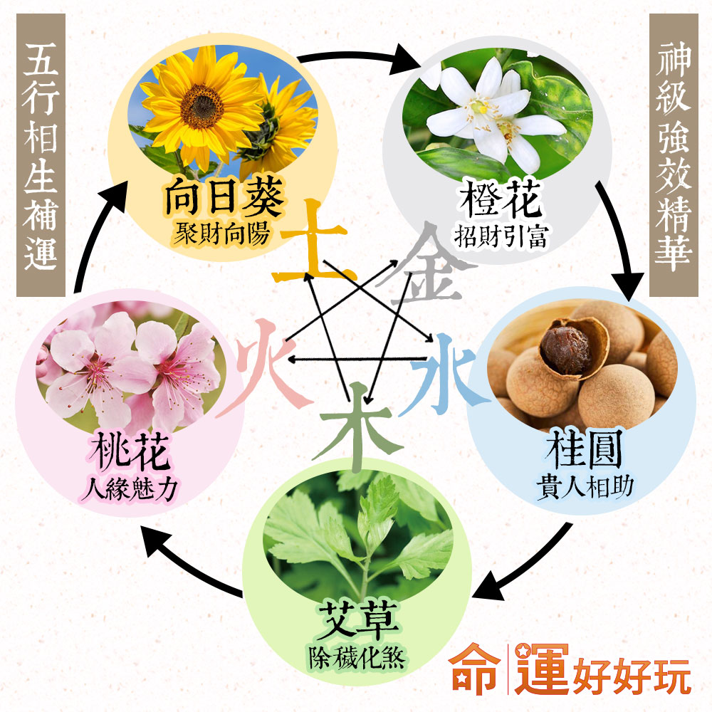 命運好好玩 李玉珮 富貴連綿金運紅內褲7件大全套 五行結界噴霧 Momo購物網