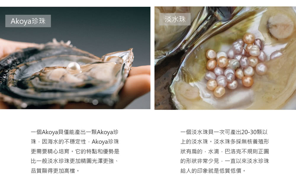 一個Akoya貝僅能產出一顆Akoya珍