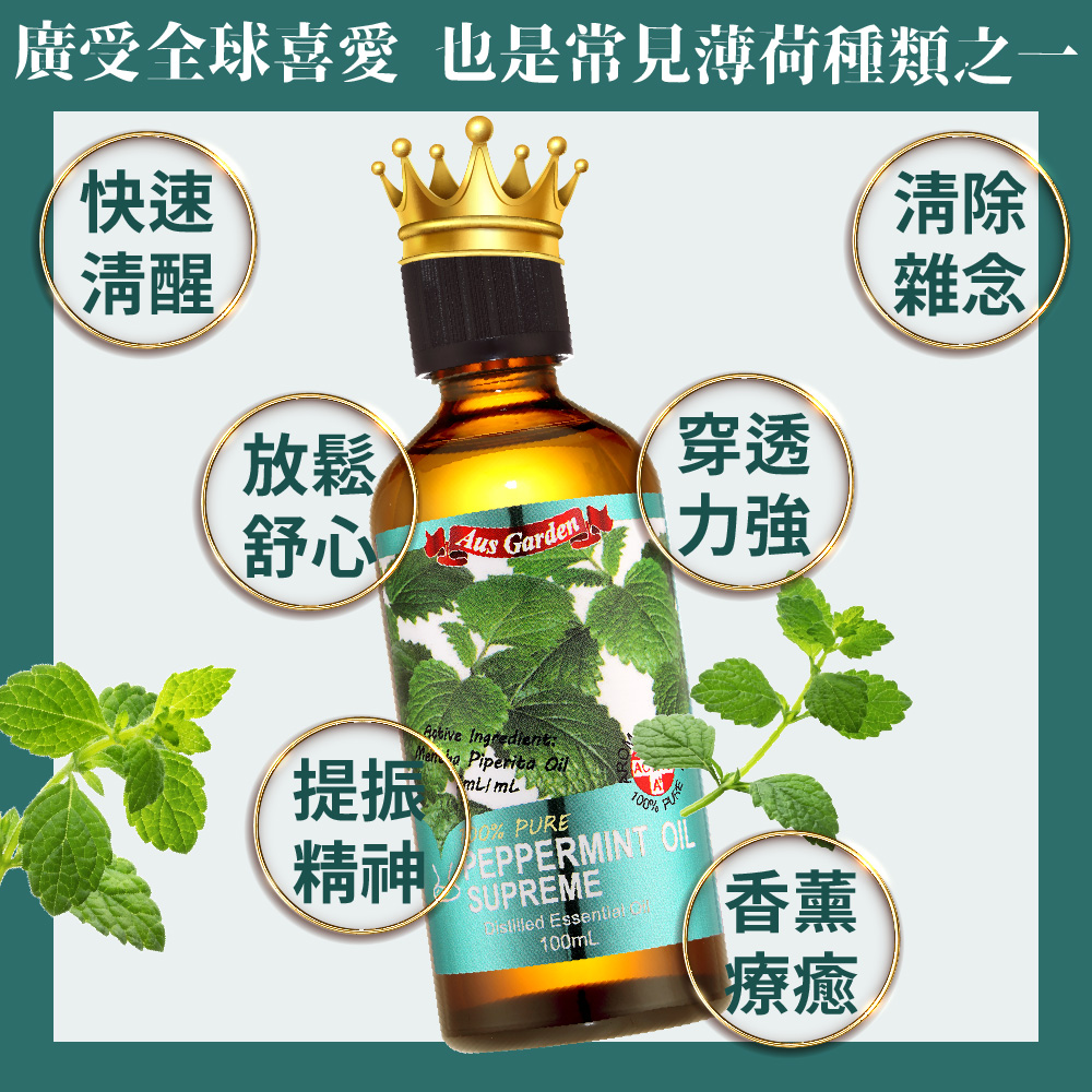 廣受全球喜愛也是常見薄荷種類之