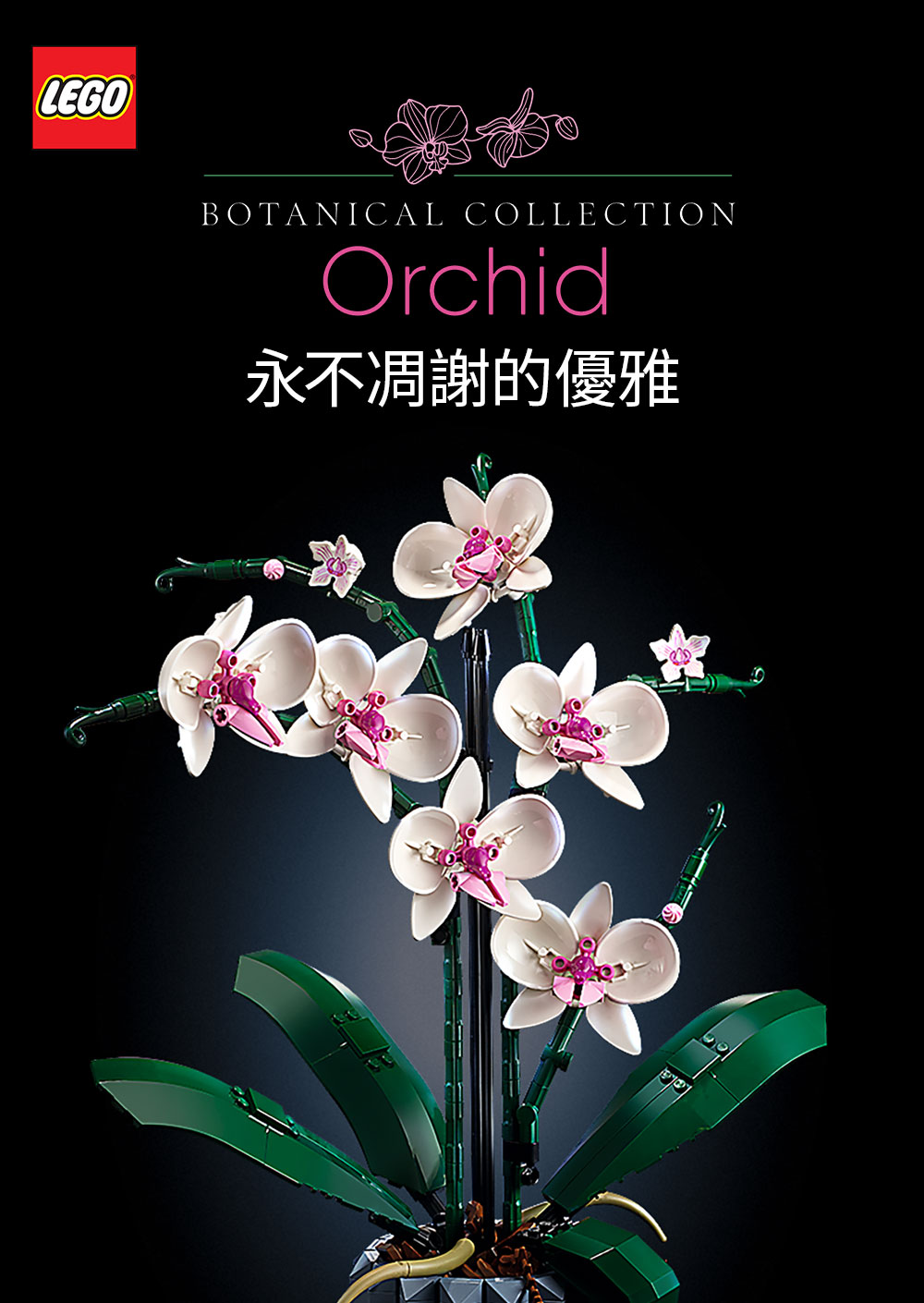 永不凋謝的優雅