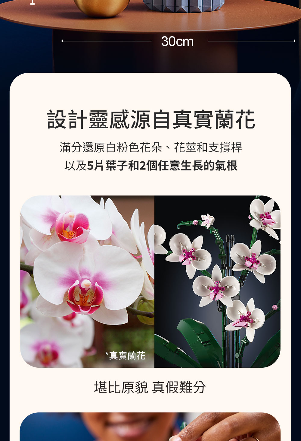 設計靈感源自真實蘭花 滿分還原白粉色花朵、花莖和支撐桿 以及5片葉子和2個任意生長的氣根 真實蘭花 堪比原貌 真假難分