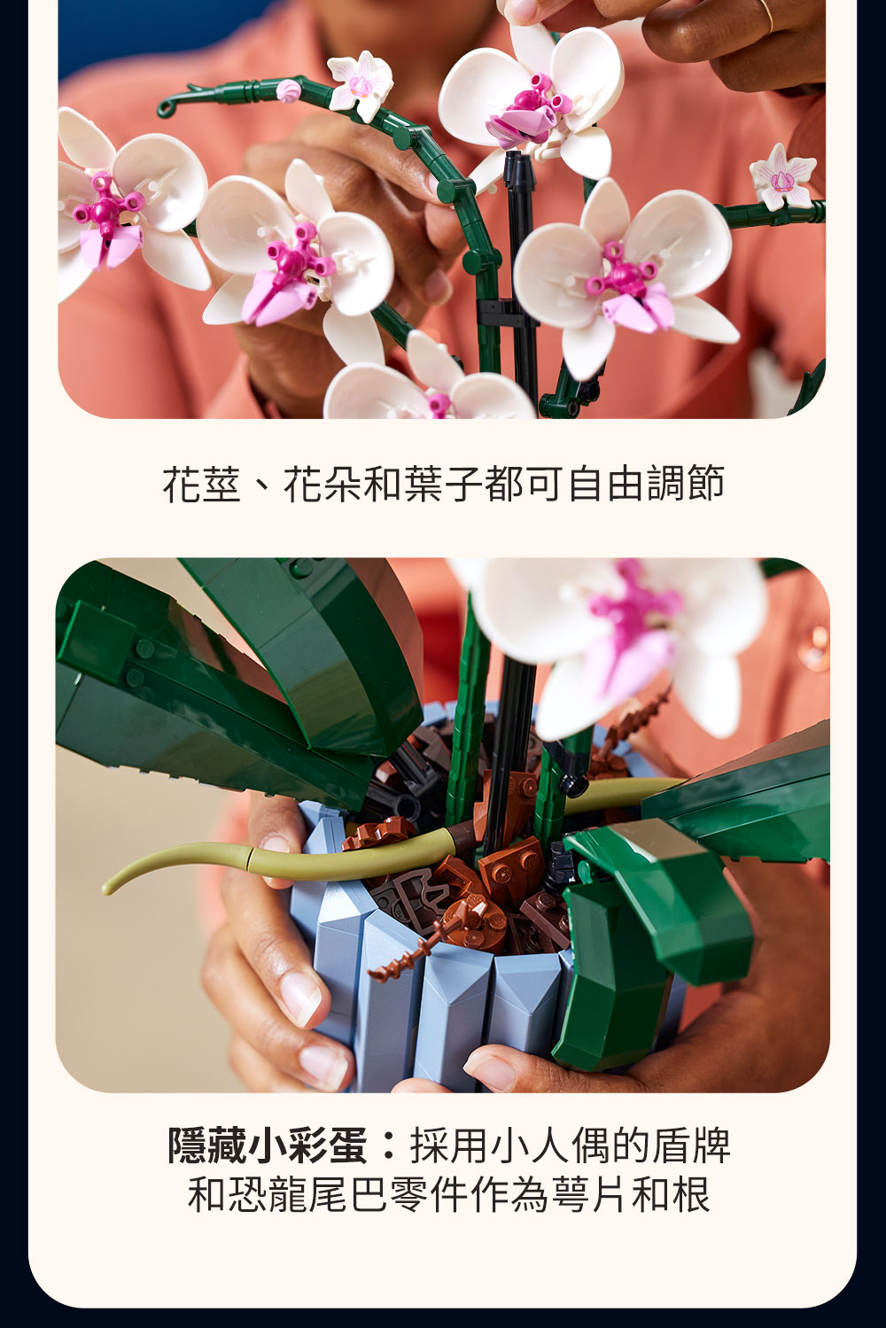 花莖、花朵和葉子都可自由調節 隱藏小彩蛋採用小人偶的盾牌 和恐龍尾巴零件作為萼片和根