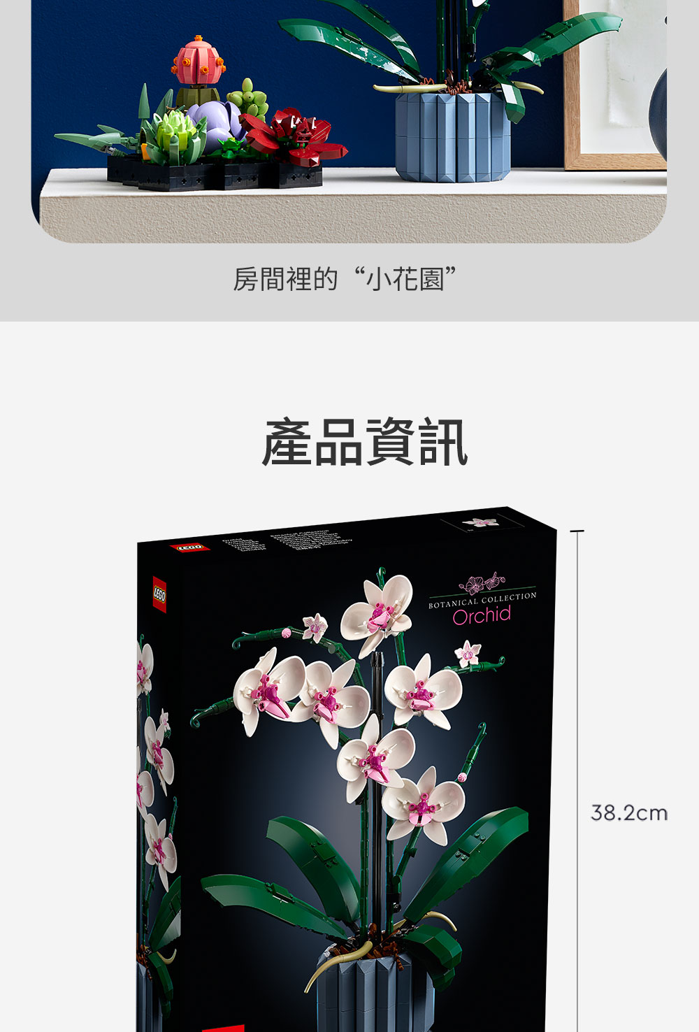 房間裡的小花園 產品資訊