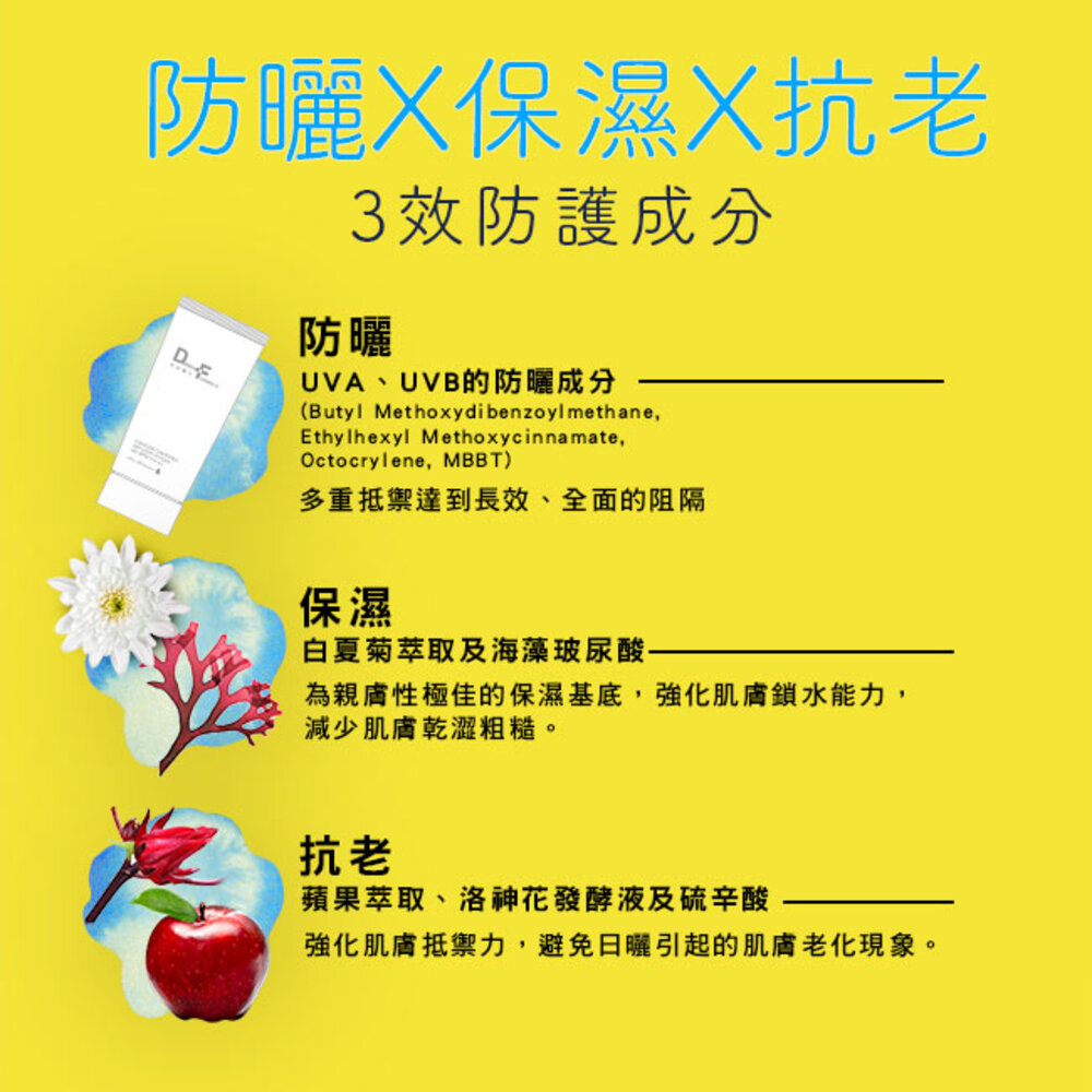 強化肌膚抵禦力,避免日曬引起的肌膚老化現象。