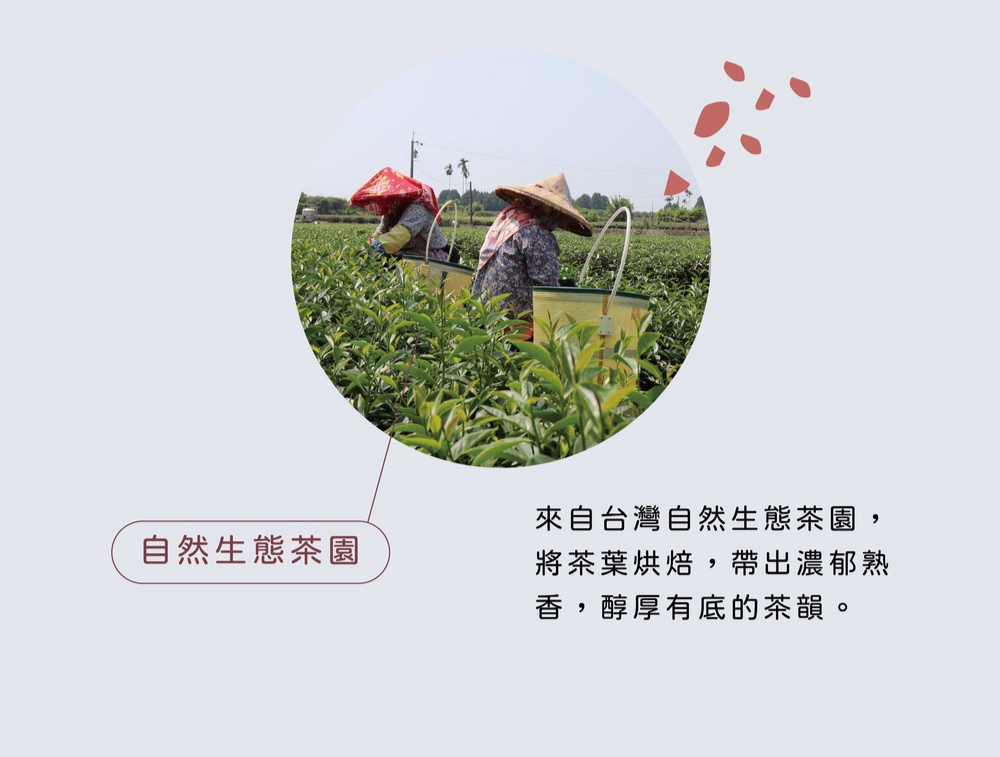 來自台灣自然生態茶園, 將茶葉烘焙,帶出濃郁熟 香,醇厚有底的茶韻。 自然生態茶園 