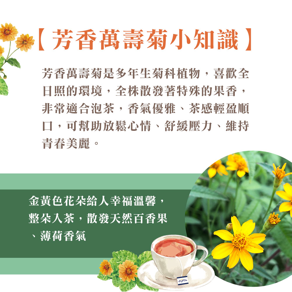 芳香萬壽菊是多年生菊科植物,喜歡全