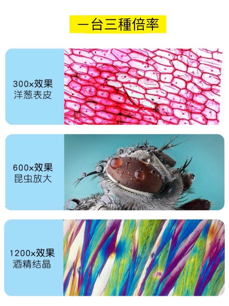 1200xææ