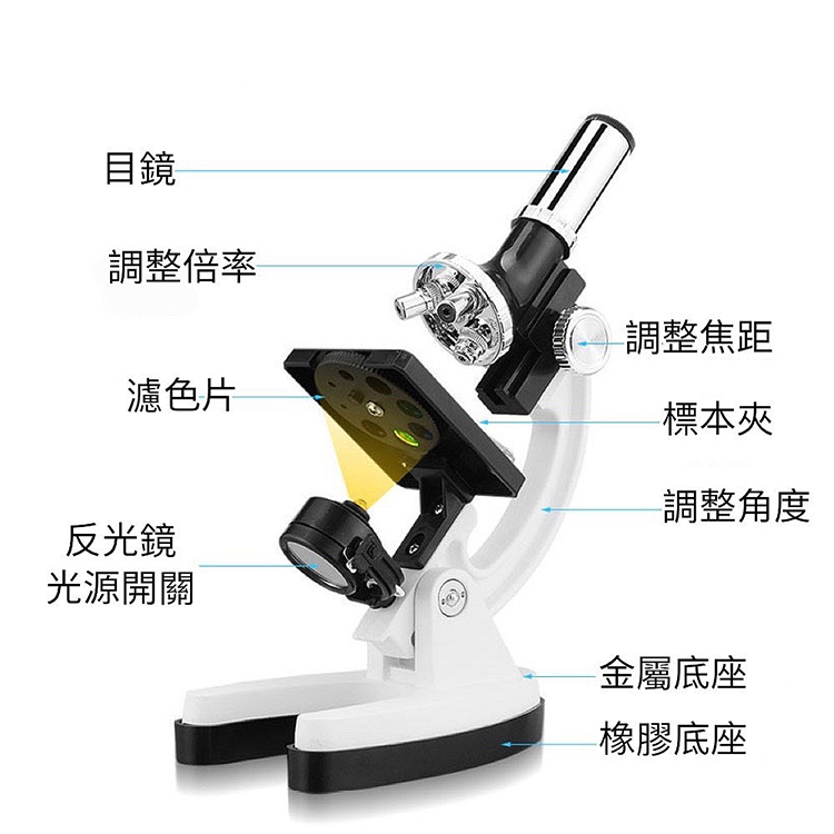 èª¿æ´åç