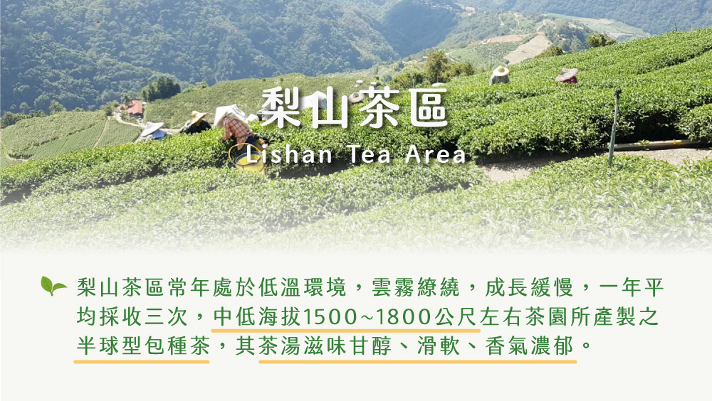 ä¸ãæ¢¨å±±è¶å æ¢¨å±±è¶åå¸¸å¹´èæ¼ä½æº«ç°å¢,é²é§ç¹ç¹,æé·ç·©æ¢,ä¸å¹´å¹³ åæ¡æ¶ä¸æ¬¡,ä¸­ä½æµ·æ15001800å¬å°ºå·¦å³è¶åæç¢è£½ä¹ åçååç¨®è¶,å¶è¶æ¹¯æ»å³çéãæ»è»ãé¦æ°£æ¿éã 