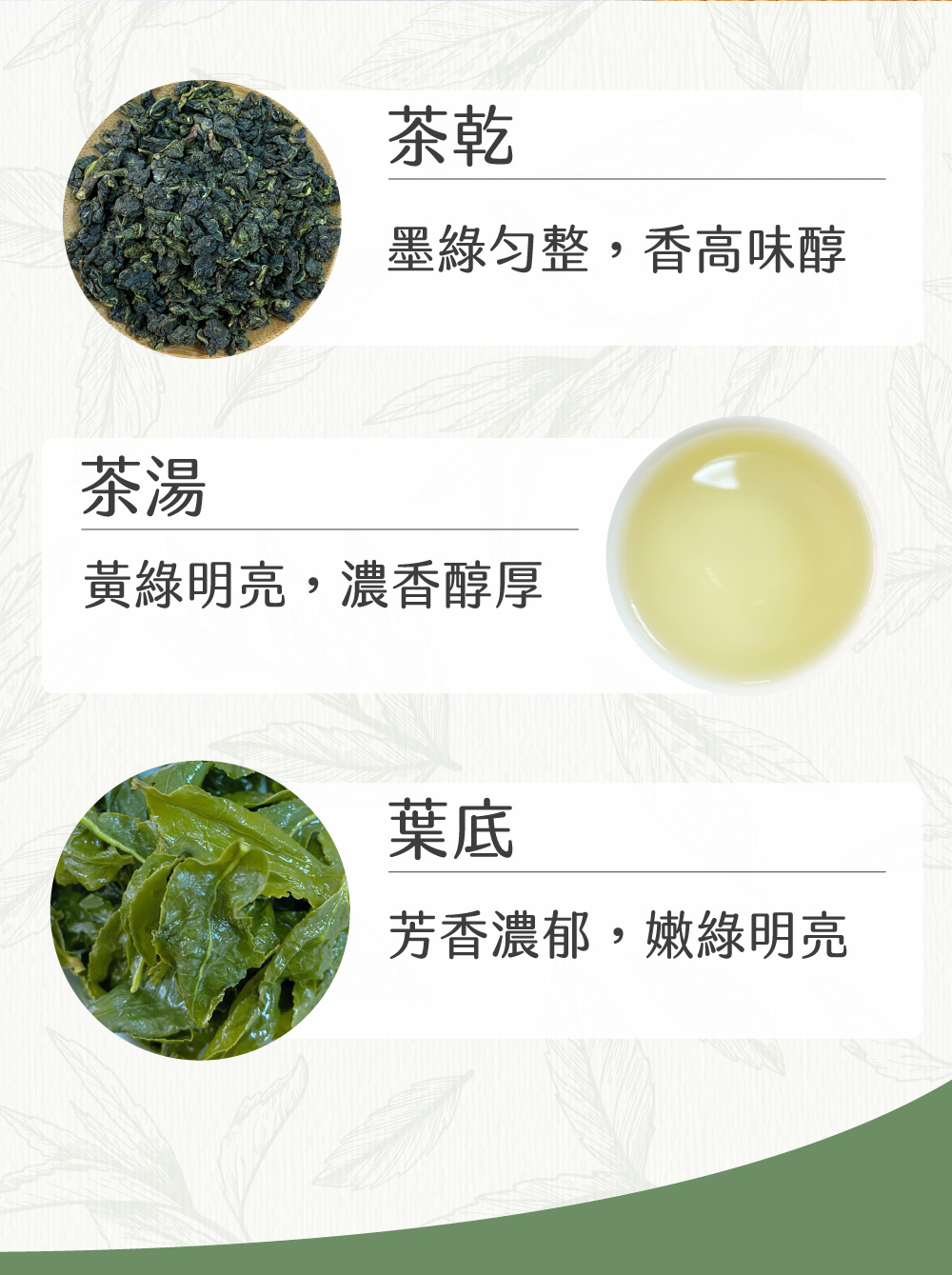 墨綠勻整,香高味醇