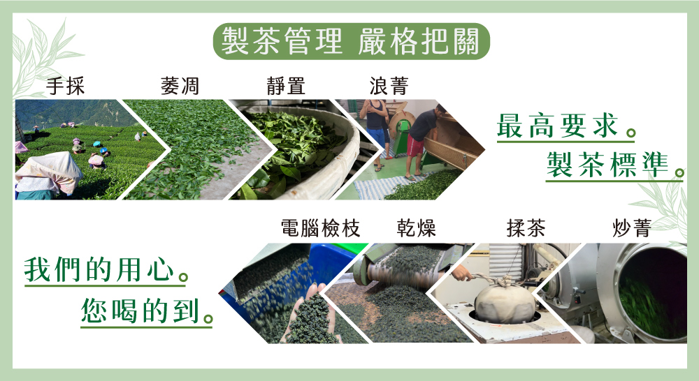 製茶管理 嚴格把關