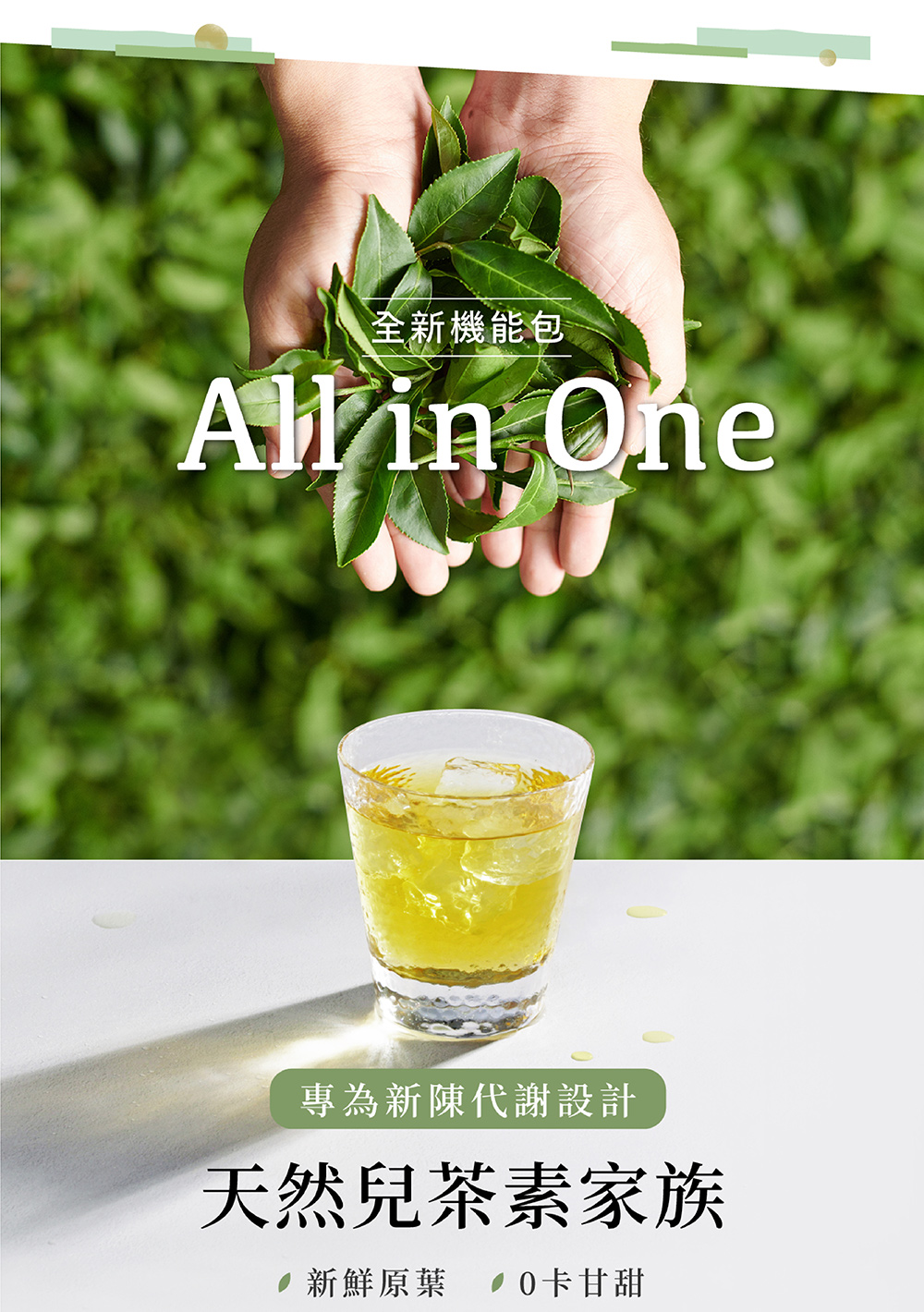 全新機能包 專為新陳代謝設計 天然兒茶素家族 新鮮原葉 10卡甘甜 