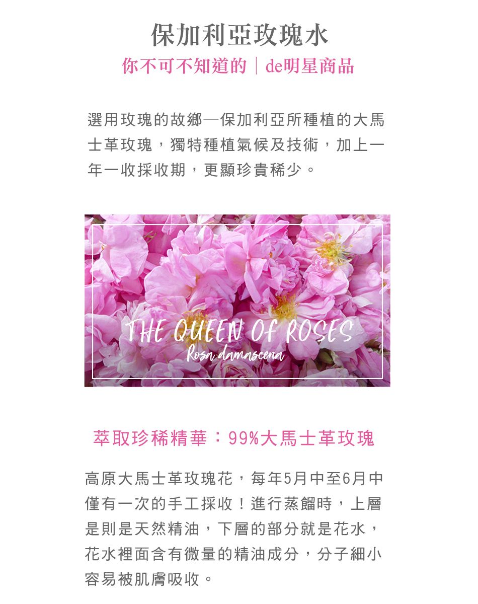 高原大馬士革玫瑰花,每年5月中至6月中