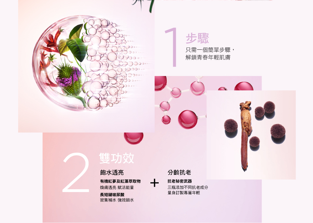 有機紅蔘及紅藻萃取物