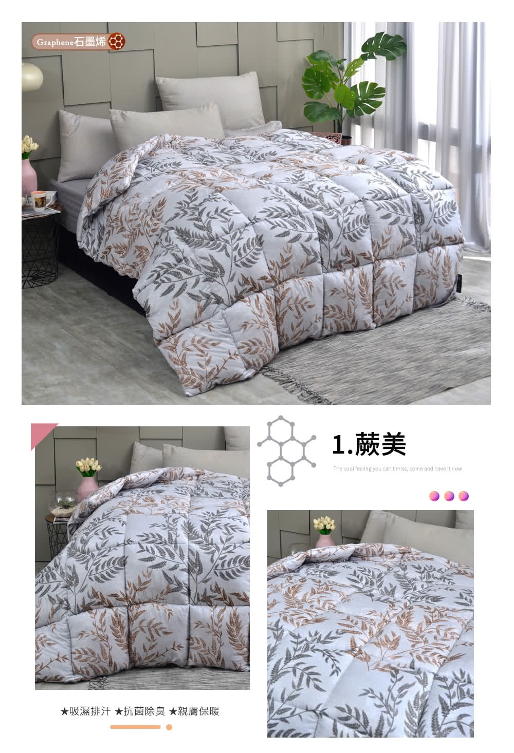 Graphene石墨烯8 吸濕排汗 抗菌除臭 親膚保暖 1.蕨美 